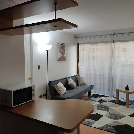 Comodo Departamento 1 Dormitorio En La Florida, Santiago